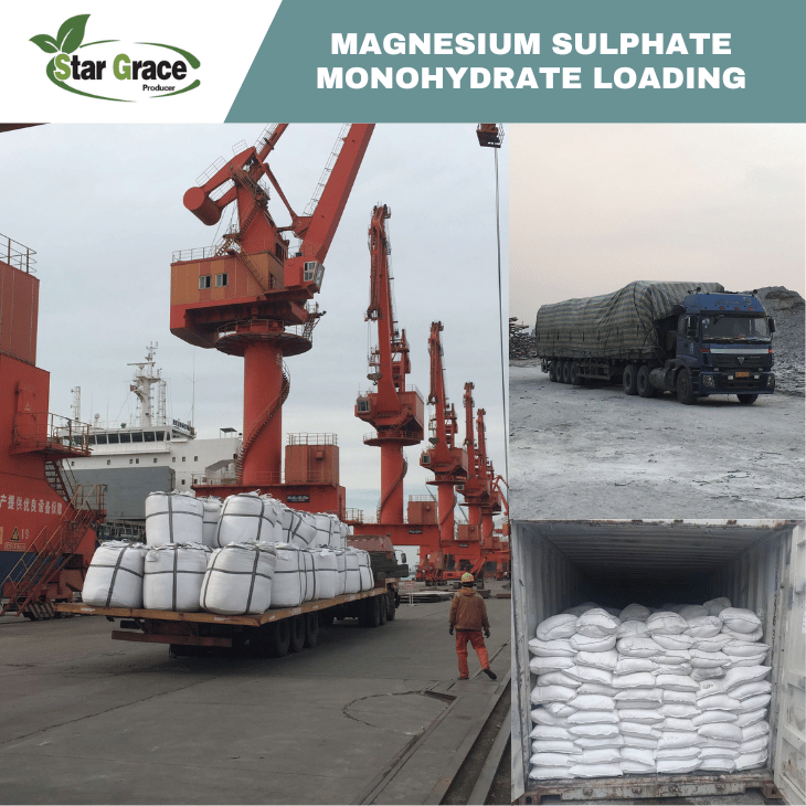 Kieserite Fertilizer Magnesium Sulfate